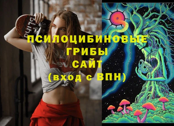 не бодяженный Арсеньев